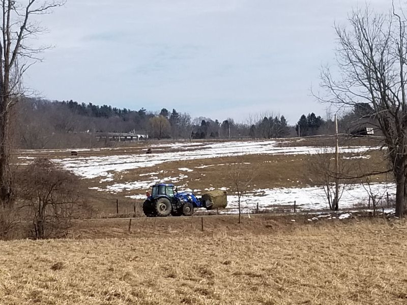 A tractor bringing hay to the livestock near Hurd’s Corner.